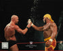 Stone Cold Steve Austin & Hulk Hogan Toast in the Ring 8" x 10" WWE Wrestling Photo - for just $9.99! 