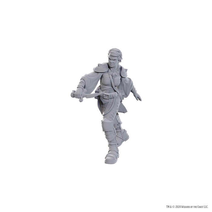D&D: Nolzur's Marvelous Miniatures - Swashbuckler - for just $5.99! 
