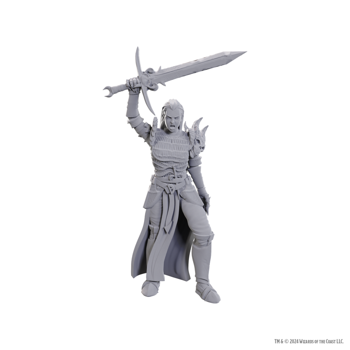 D&D: Nolzur's Marvelous Miniatures - Blackguard - for just $5.99! 