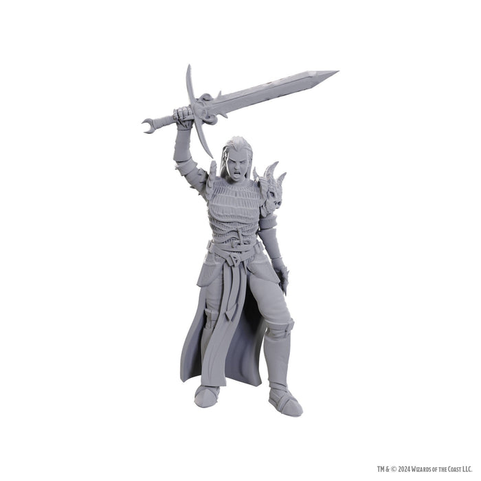 D&D Nolzur's Marvelous Miniatures: Blackguard - for just $4.99! 