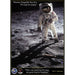 Walk on the Moon 1000 Piece Jigsaw Puzzle Eurographics - for just $19.99! 