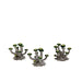 WarLock Tiles: Accessory - Mushrooms & Pools - for just $49.99! 