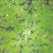 WarLock Tiles: Game Mat - Acid Lagoon - for just $29.99! 