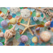 Washed Ashore 1000 Piece Jigsaw Puzzle Final Piece - for just $19.99! 