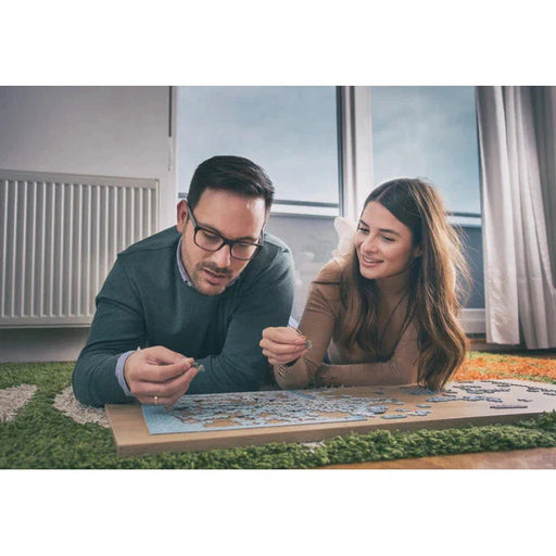 Washington D.C. Metropuzzle 1000 Piece Jigsaw Puzzle Geotoys - for just $19.99! 