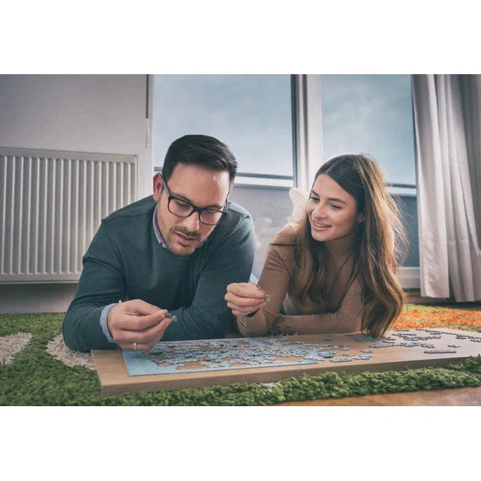 Washington D.C. Metropuzzle 1000 Piece Jigsaw Puzzle Geotoys - for just $19.99! 