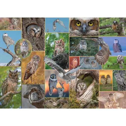 Watchful Wonders "Mixed Up" 1000 Piece Jigsaw Puzzle PuzzleTwist - for just $25.99! 