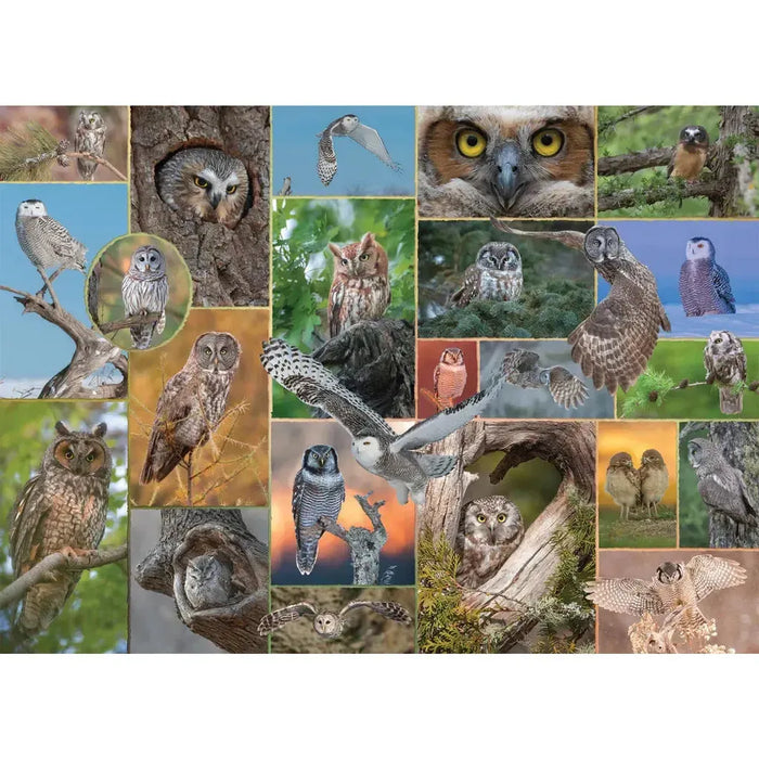 Watchful Wonders "Mixed Up" 1000 Piece Jigsaw Puzzle PuzzleTwist - for just $25.99! 