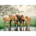 Watering Hole 35 Piece Tray Jigsaw Puzzle Cobble Hill - for just $9.99! 