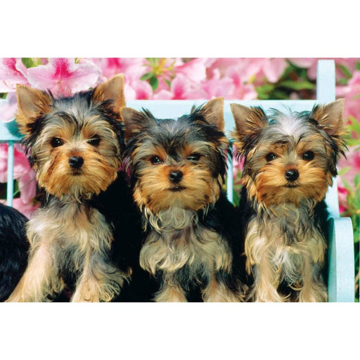 We Didn't Do It 234 Piece "World's Smallest" Jigsaw Puzzle TDC - for just $9.99! 