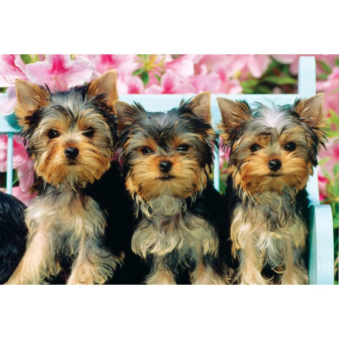 We Didn't Do It 234 Piece "World's Smallest" Jigsaw Puzzle TDC - for just $9.99! 
