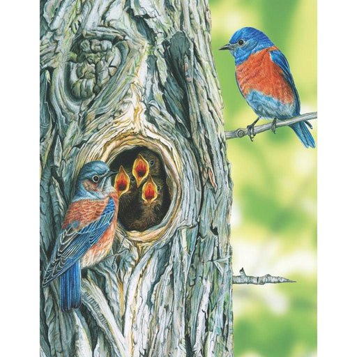 Western Bluebird 100 Piece Mini Jigsaw Puzzle NYPC - for just $11.99! 