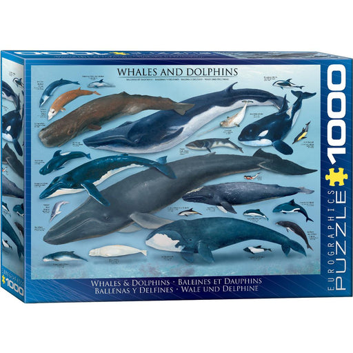 Whales & Dolphins 1000 Piece Jigsaw Puzzle Eurographics - for just $21.99! 