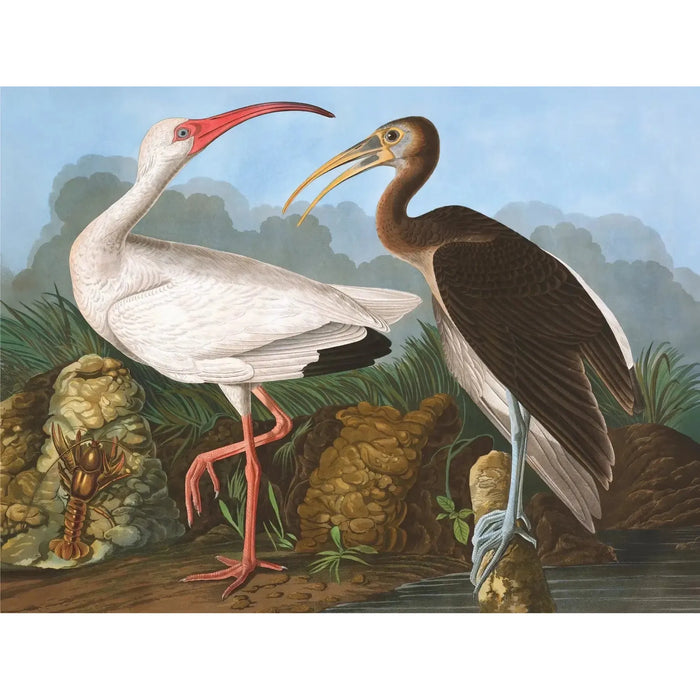 White Ibis Vintage Collection 1000 Piece Jigsaw Puzzle NYPC - for just $28.99! 