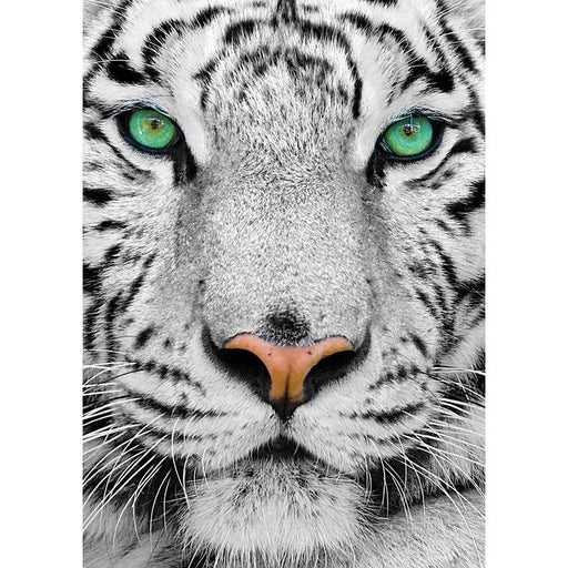 White Siberian Tiger 1000 Piece Jigsaw Puzzle Enjoy - for just $24.99! 