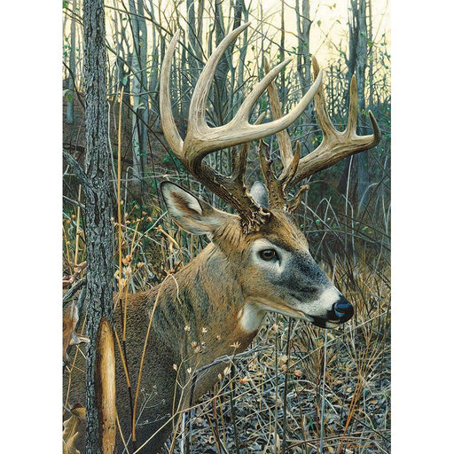 White-Tailed Deer 1000 Piece Jigsaw Puzzle Cobble Hill - for just $19.99! 