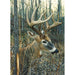 White-Tailed Deer 1000 Piece Jigsaw Puzzle Cobble Hill - for just $19.99! 