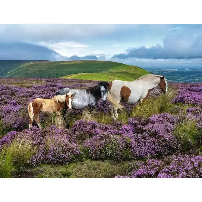 Wild Horses 2000 Piece Jigsaw Puzzle Ravensburger - for just $39.99! 