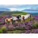 Wild Horses 2000 Piece Jigsaw Puzzle Ravensburger - for just $39.99! 