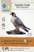 Wingspan: Revised - for just $64.99! 
