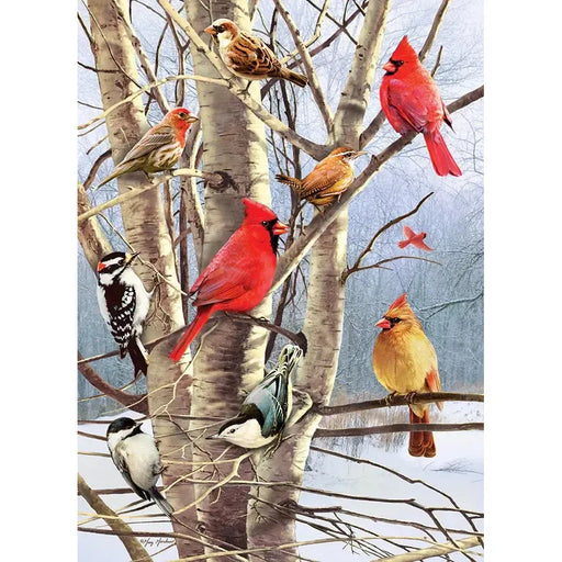 Winter Birds 1000 Piece Jigsaw Puzzle Cobble Hill - for just $19.99! 
