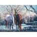 Winter's Beauty 500 Piece Jigsaw Puzzle Cobble Hill - for just $17.99! 