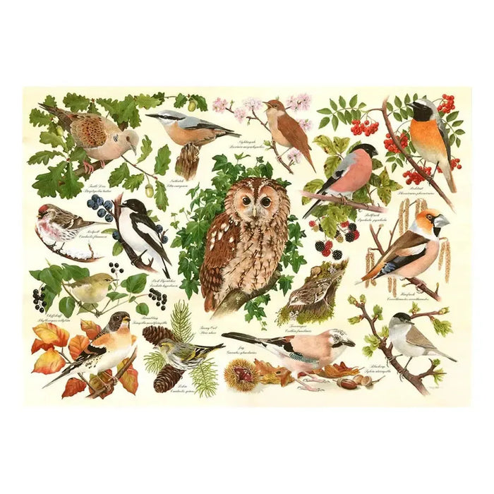 Woodland Birds 500 Big Piece Jigsaw Puzzle HOP - for just $24.99! 