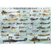 World War 1 Aircraft 1000 Piece Jigsaw Puzzle Eurographics - for just $21.99! 