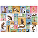 Yoga Cats 1000 Piece Jigsaw Puzzle Eurographics - for just $19.99! 