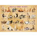Yoga is a Family Activity 500 Piece Jigsaw Puzzle Eurographics - for just $17.99! 