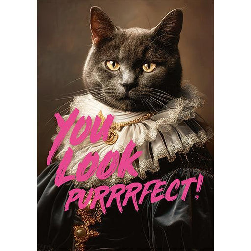 You Look Purrrfect! 1000 Piece Jigsaw Puzzle Piatnik - for just $24.99! 
