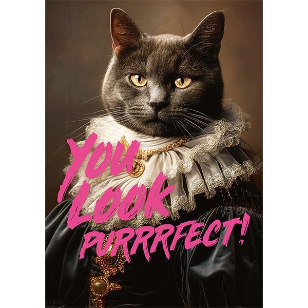 You Look Purrrfect! 1000 Piece Jigsaw Puzzle Piatnik - for just $24.99! 