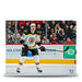 Zdeno Chara in Action Boston Bruins 8" x 10" Hockey Photo - for just $9.99! 