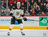 Zdeno Chara in Action Boston Bruins 8" x 10" Hockey Photo - for just $9.99! 