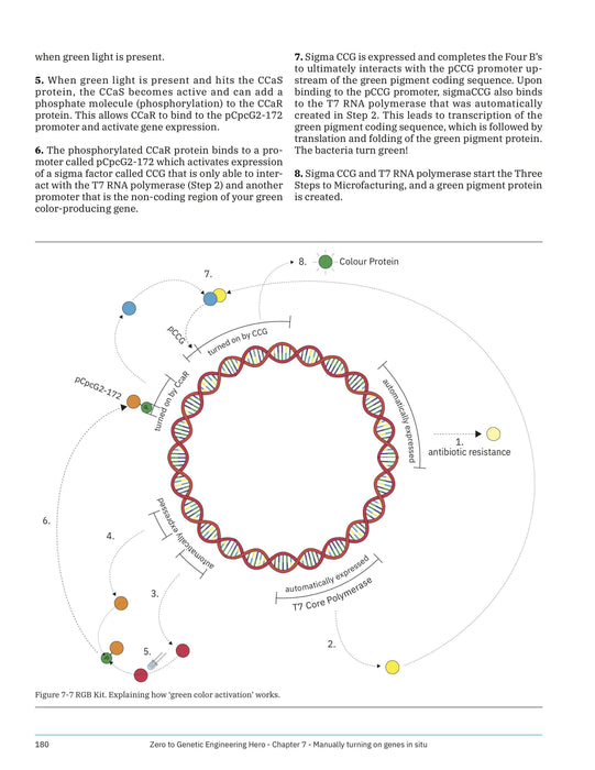 Make: Zero to Genetic Engineering Hero - Print - for just $29.99! 