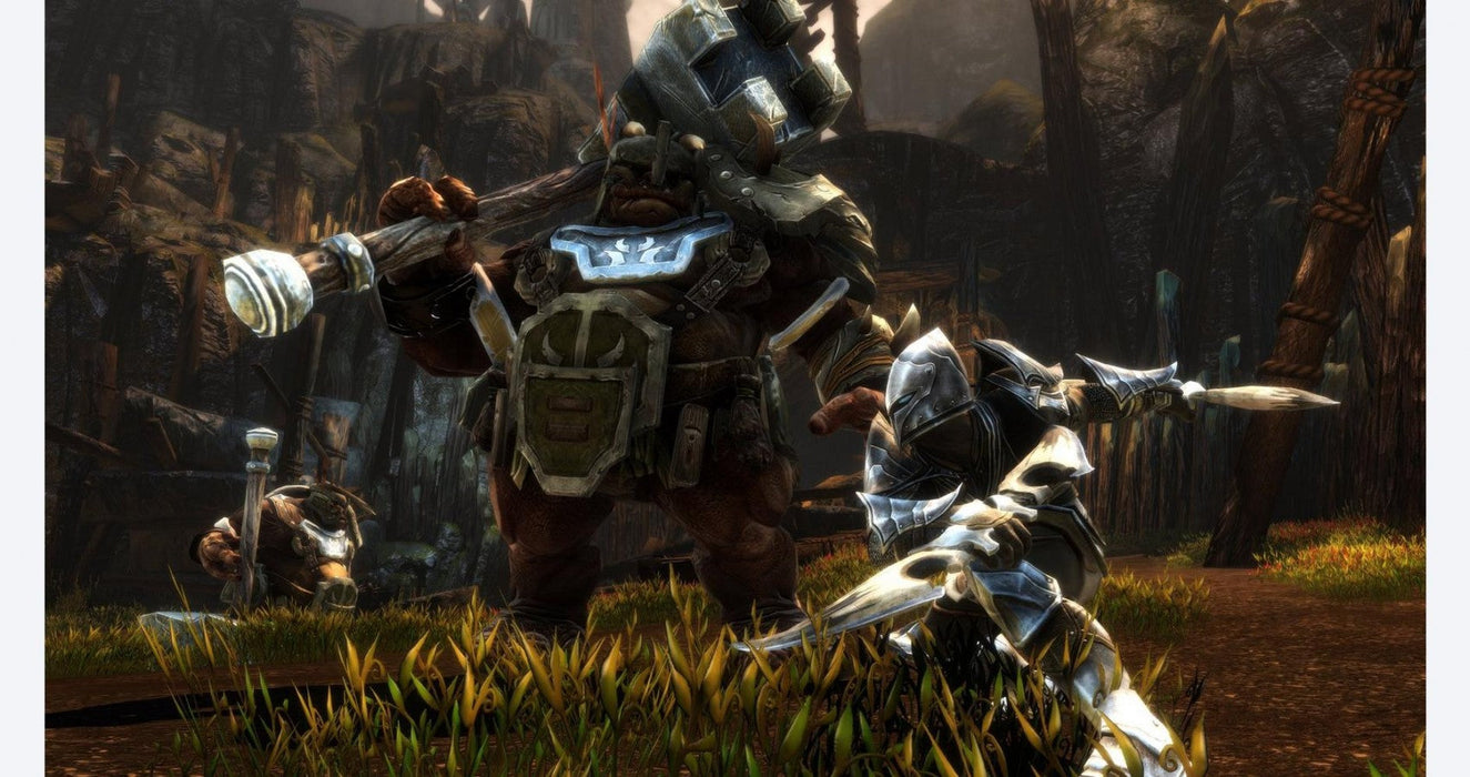Kingdoms of Amalur: Re-Reckoning – PlayStation 4 (PS4) - for just $14.99! 