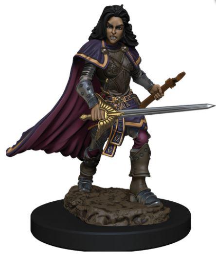 Pathfinder Battles: Human Bard Female - Just $8.99! Shop now at Retro Gaming of Denver