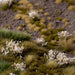 Gamers Grass Tufts: White Flowers- Wild - for just $9.99! 