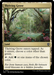 Thriving Grove (BLC-347) - Bloomburrow Commander - for just $0.07! 