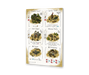 Imperial Settlers: Roll & Write - for just $29.99! 