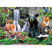 Wildlife of Shenandoah National Park - 100 Piece Jigsaw Puzzle - Just $12.99! Shop now at Retro Gaming of Denver