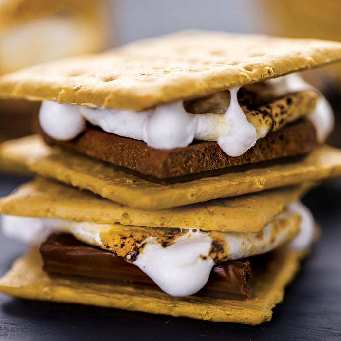 S'mores 100 Piece Jigsaw Puzzle - Just $7.99! Shop now at Retro Gaming of Denver