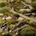 Gamers Grass Basing Bits: Rocks - for just $18.76! 