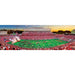 NC State Wolfpack - 1000 Piece Panoramic Jigsaw Puzzle - for just $19.99! 