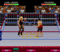 WWF Raw – Super Nintendo Entertainment System (SNES) - for just $9.99! 