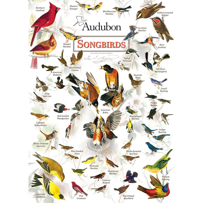 Audubon - Songbirds 1000 Piece Jigsaw Puzzle - for just $12.99! 