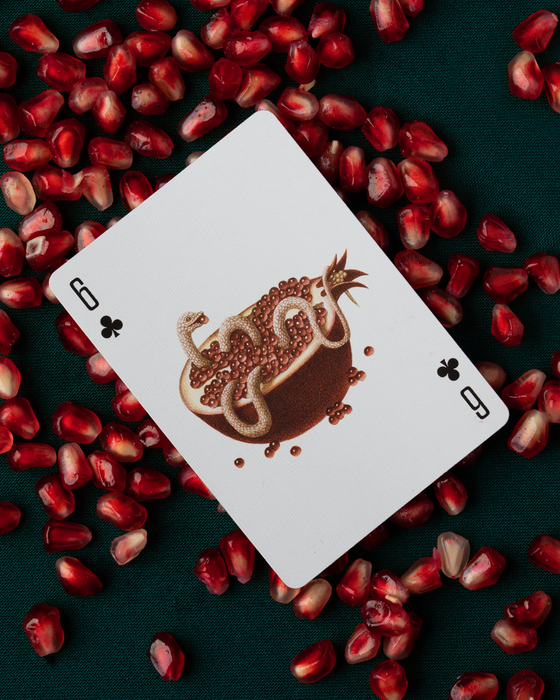 Cabinetarium Playing Cards - for just $24.99! 