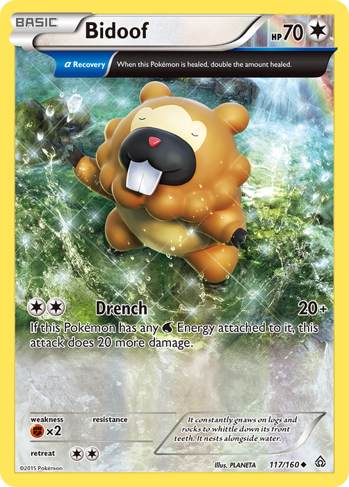 Bidoof (117/160) [XY: Primal Clash] - Just $0.20! Shop now at Retro Gaming of Denver