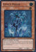 Effect Veiler [DREV-EN002] Ultimate Rare - for just $45.95! 