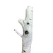 24 Inch Stunt Tree Wood Branch Flexible Foam Prop - for just $75! 